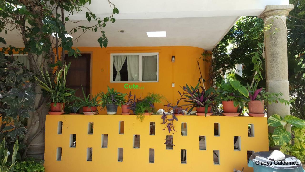 Gunther & Gladys Apartamento Isla Mujeres Exterior foto